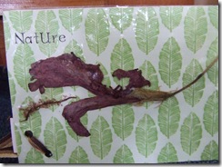 W18 NATURE #1