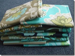 Amy Butler FQ4