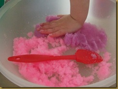 Science Day (10)
