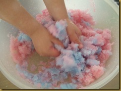 Science Day (3)