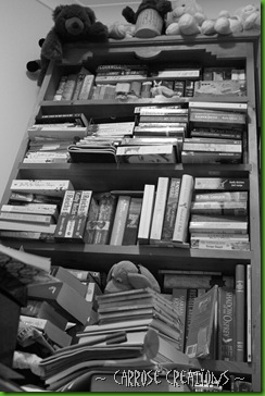 The bookcase2