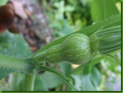 2010_05060013
