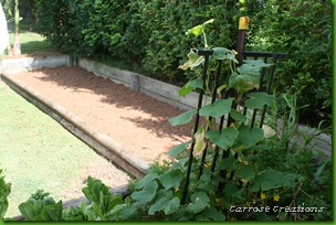 04.01.11 Garden