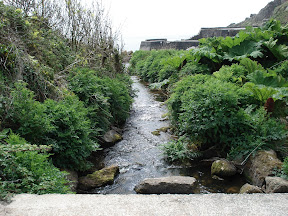 Lancorme Brook, yes, I named it