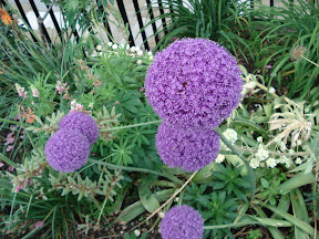 Macro!!!