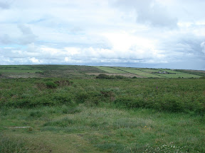 DSC02476.JPG