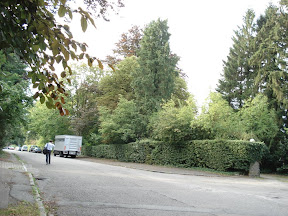 DSC03406.JPG