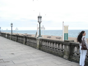 DSC03970.JPG