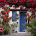 Los Patios de Córdoba