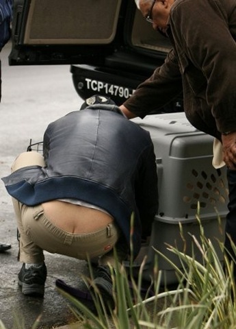 [Bradley Cooper[2].jpg]