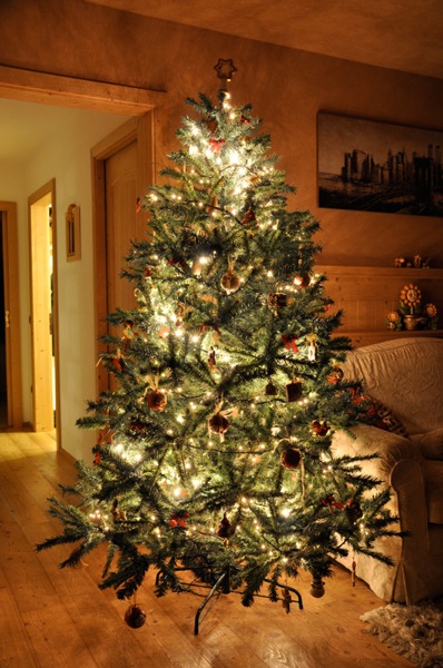 DSC_7961.jpg DSC_7961.jpg