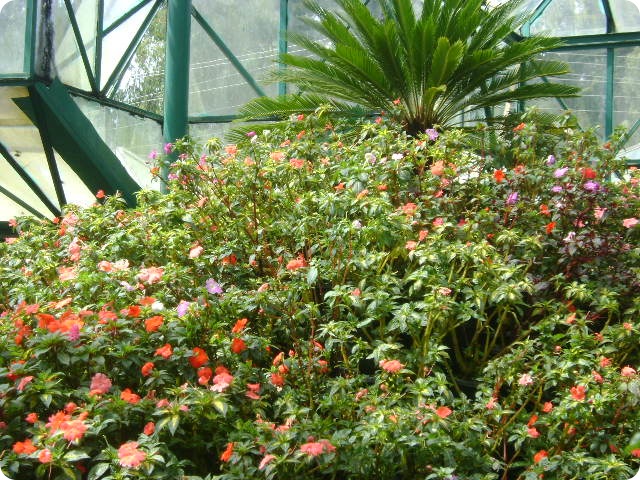 DSC02328