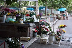 Kroatia 2009 195195