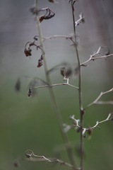november 005