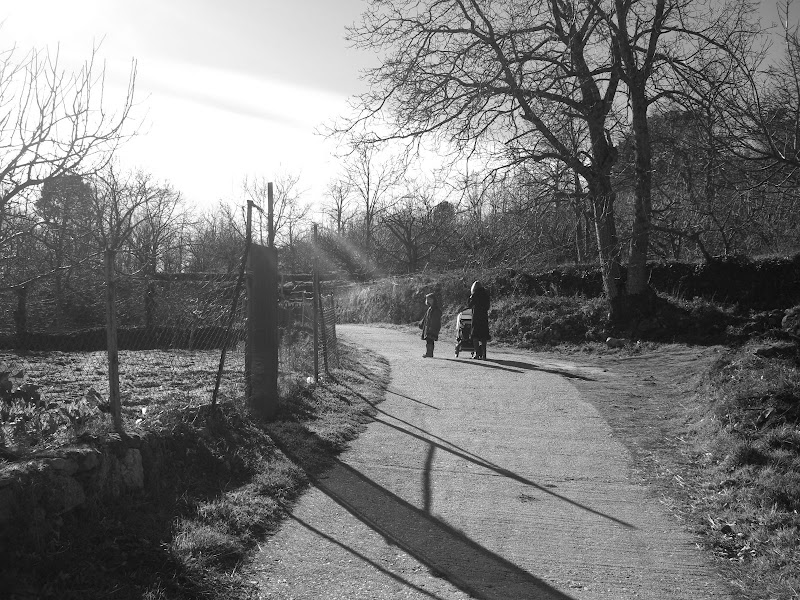 CIMG0101.JPG