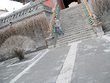 IMG_0549.JPG