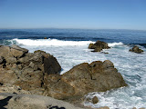 IMG_1100.JPG