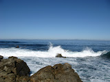 IMG_1103.JPG