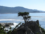 IMG_1118.JPG