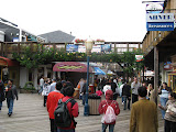 IMG_1003.JPG