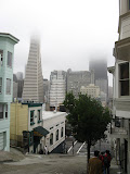 IMG_1059.JPG