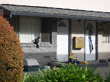 Picture 013.jpg