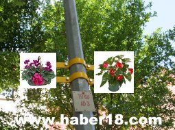 �ank�r�, cankiri