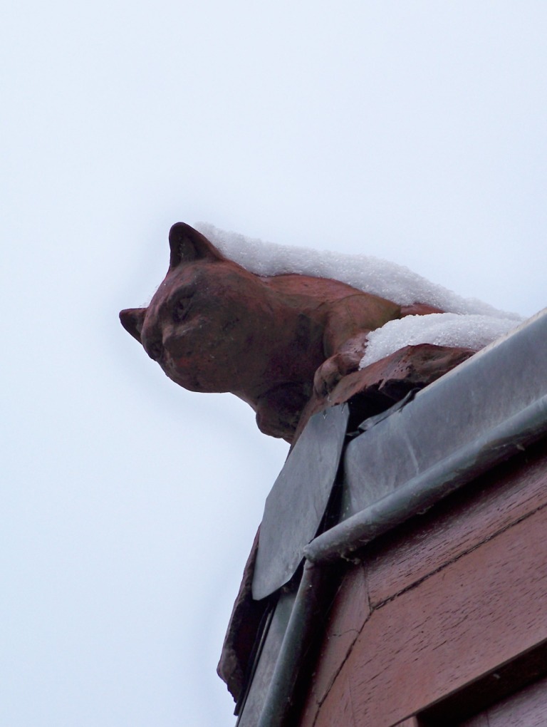 [chat du toit sous la neige[4].jpg]