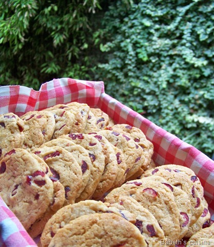 [cookies aux cranberries 2[6].jpg]