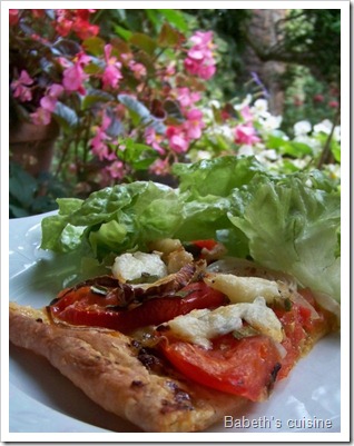 tarte tomates oignons mozza morceau