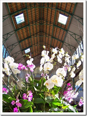 orchidées palais rameau