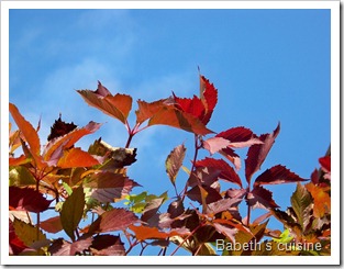 ciel bleu d'automne