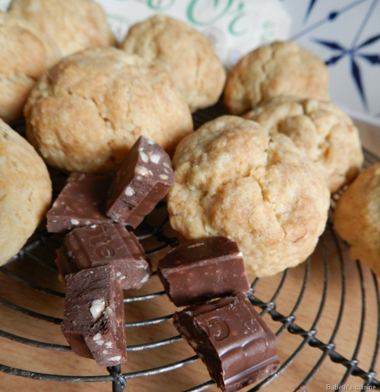 [boulettes sablées 2[8].jpg]