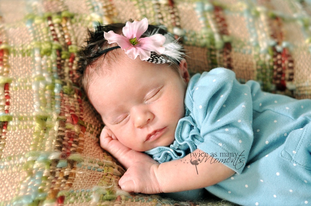 [DSC_2909_edit_wm[5].jpg]