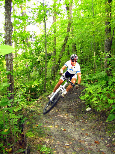 Berm action
