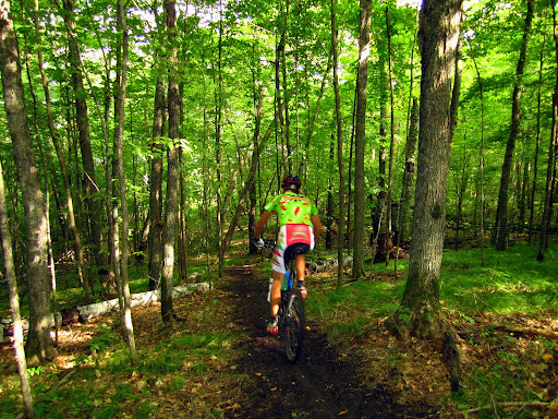 Short new section of singletrack near bear pass avoiding water area.