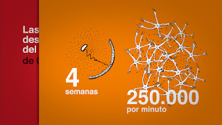 grafik-nuri-yebra-redes-cerebro-00.jpg