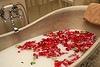 [European Spa Vacations[5].jpg]