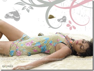 Sneha Ullal's new wallpapper