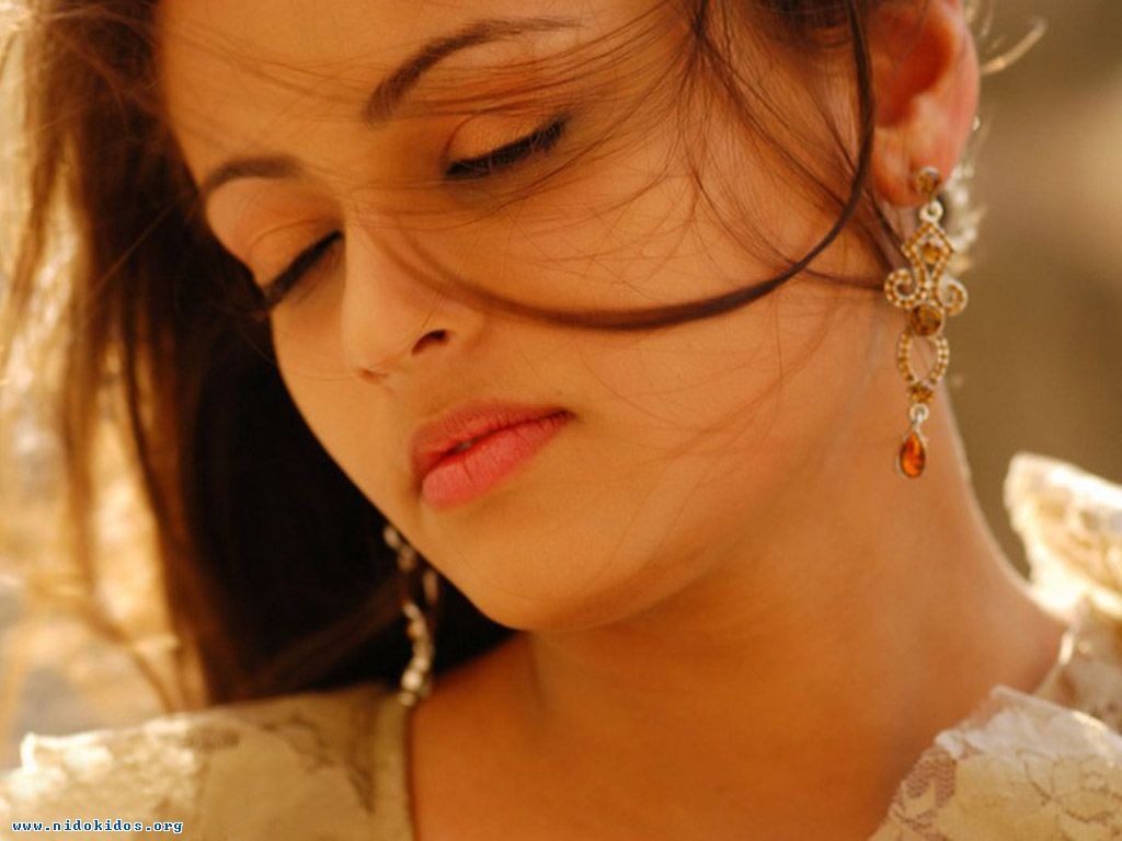 [Sneha Ullal Hot gallery[2].jpg]
