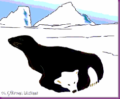 optical-illusions-seal-bear
