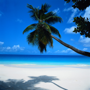 [summer_0[3].png]
