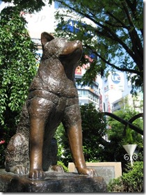 Hachiko