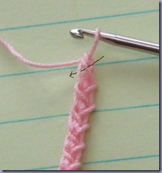 crochetbraid2