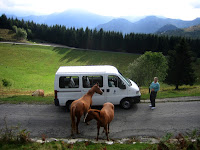 Friendly Locals.