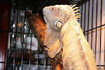 IMG_1673.JPG