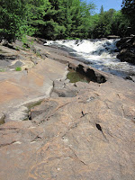 IMG_3305.JPG