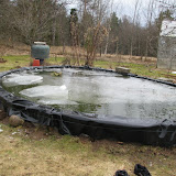 IMG_9956.JPG