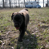IMG_0198.JPG