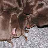 IMG_0621.JPG